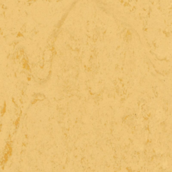 Tarkett Veneto xf² Corn