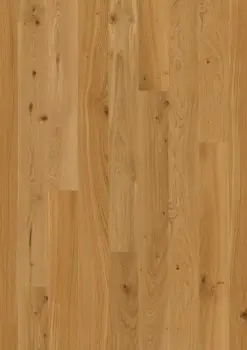 BOEN Ek Animoso, Plank