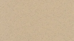 7312 Dune