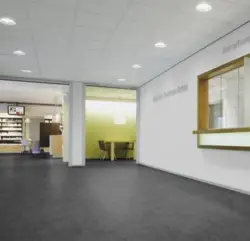 Marmoleum Real - Lava