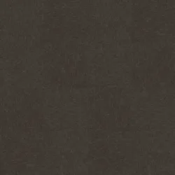 Rye