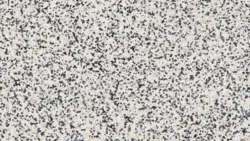 Tarkett iQ Surface, Sober Airy