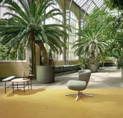 Marmoleum Fresco - Mustard