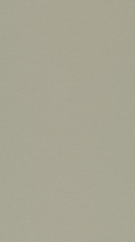 DLW Uni Walton linoleum, Warm Concrete Grey