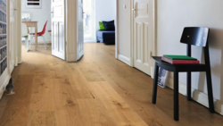 Haro plankegolv - Ek invisible Sauvage borstad nD