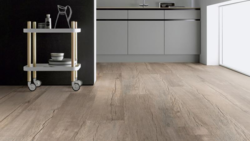 Wood Edition Perform, Lång planka, Ek Berlin