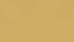 Tarkett LinoWall Honey