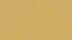 Tarkett LinoWall Honey