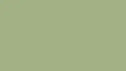 Tarkett LinoWall Olive