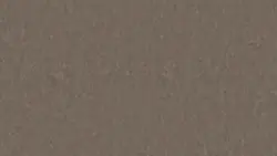 Style Emme xf² Cedar