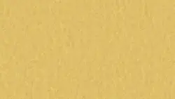 Style Emme xf² Gold