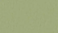 Style Emme xf² Pears