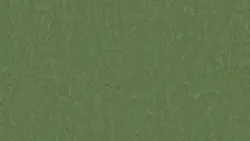 Style Emme xf² Pine