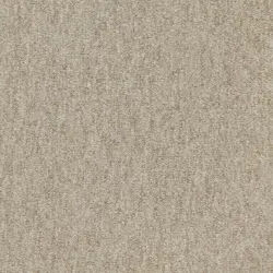Cashmere