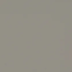 Bordlinoleum - Forbo Furniture Desktop Taupe