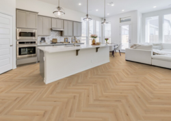 Sildeben Edition Pro, Oak Rotterdam