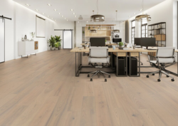 Classic Collection, Ash Ponza, plank