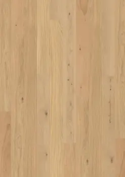 BOEN Ek Animoso, Plank