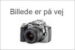 Clubman, gnisttändningsventil