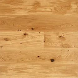 Moland Wideplank, Ek Trend