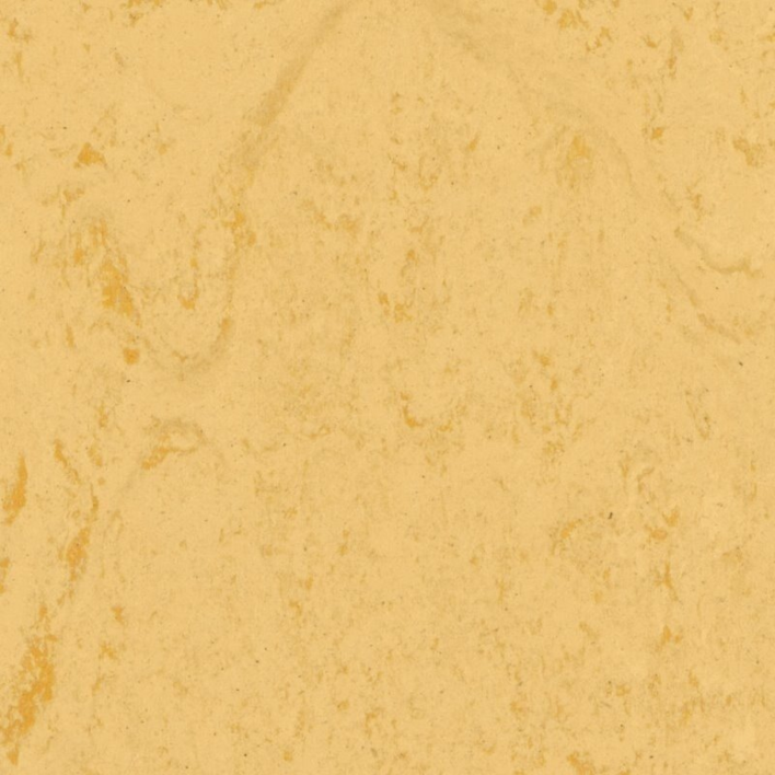 Tarkett Veneto xf² Corn