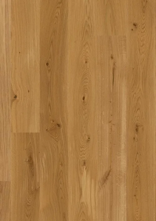 BOEN Ek Animoso, Plank