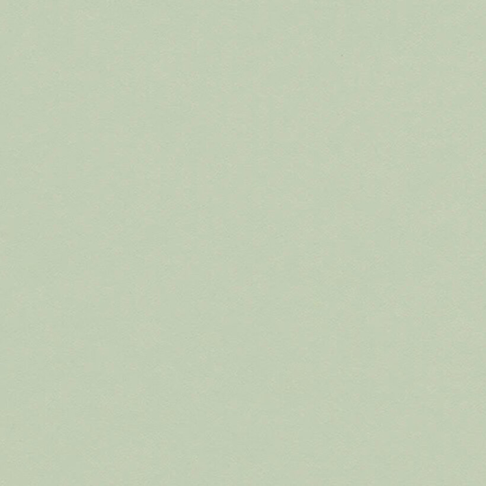 Bordlinoleum - Forbo Furniture Desktop Pistachio