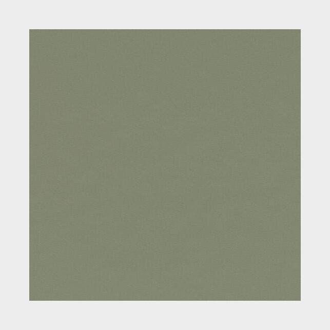 Bordlinoleum - Forbo Furniture Desktop Olive