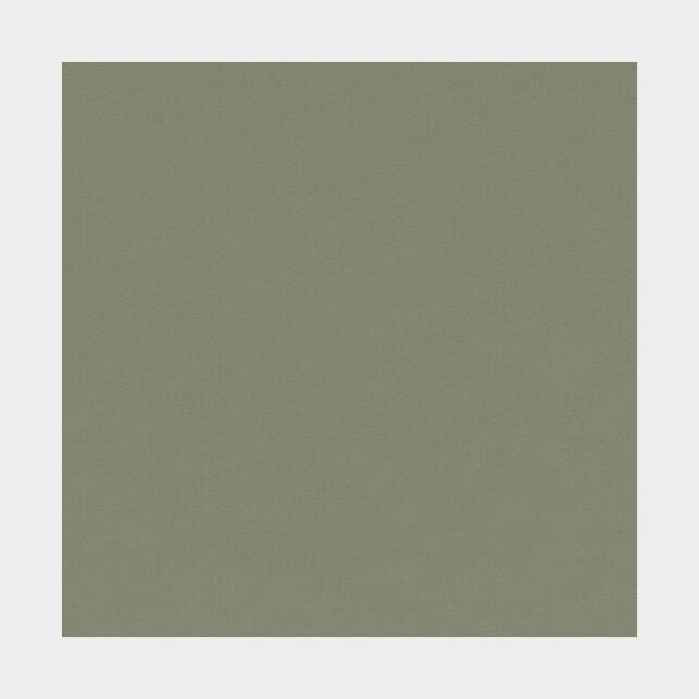 Bordlinoleum - Forbo Furniture Desktop Olive