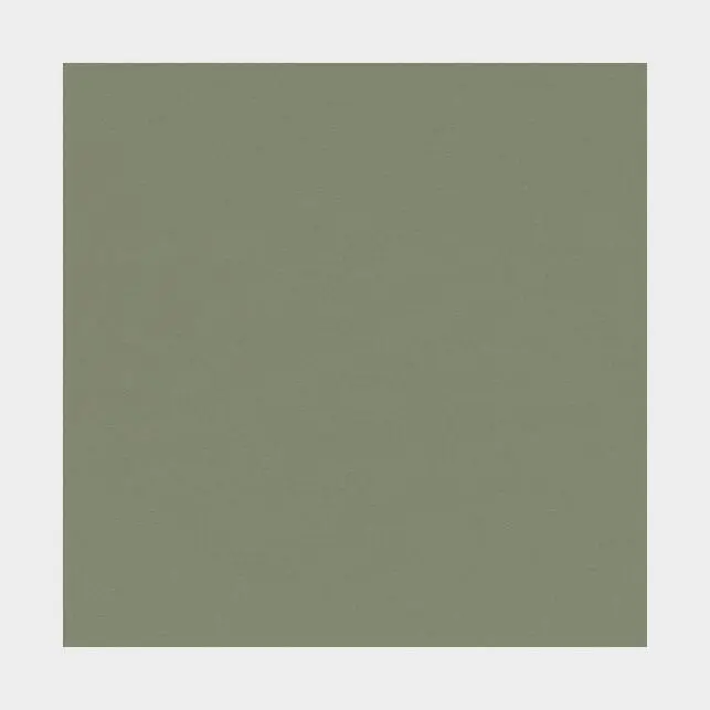 Bordlinoleum - Forbo Furniture Desktop Olive