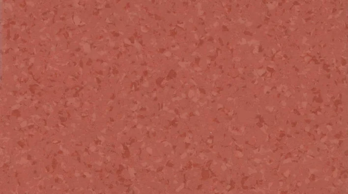 6055 Tomato