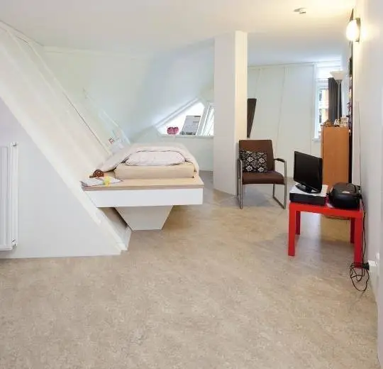 Marmoleum Real - Skogsmark