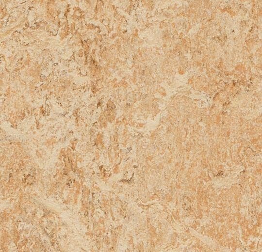 Marmoleum Real - Shell