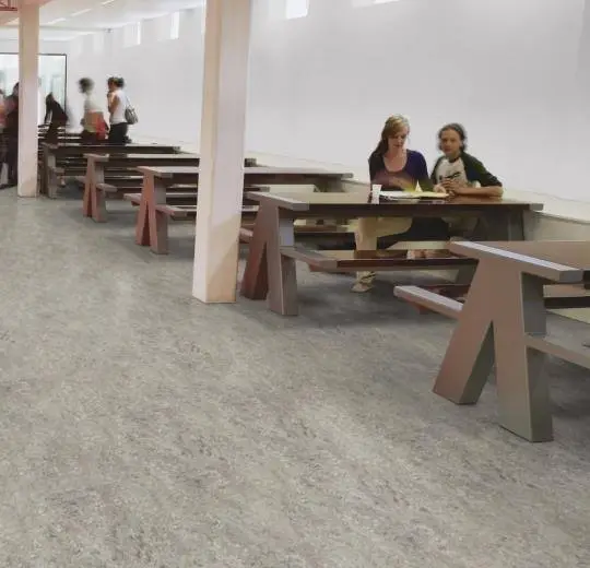 Marmoleum  Vivace - Surprising Storm