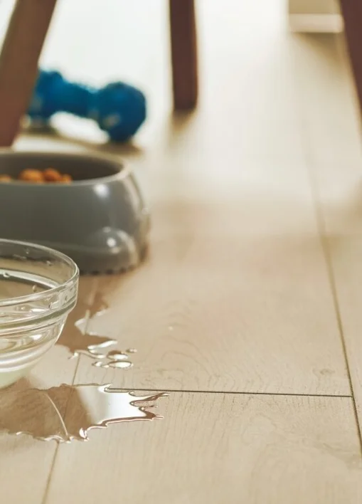 Pergo Visby Sensation - Coastal Oak, Planka - KAMPANJ