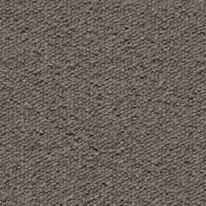 26048
