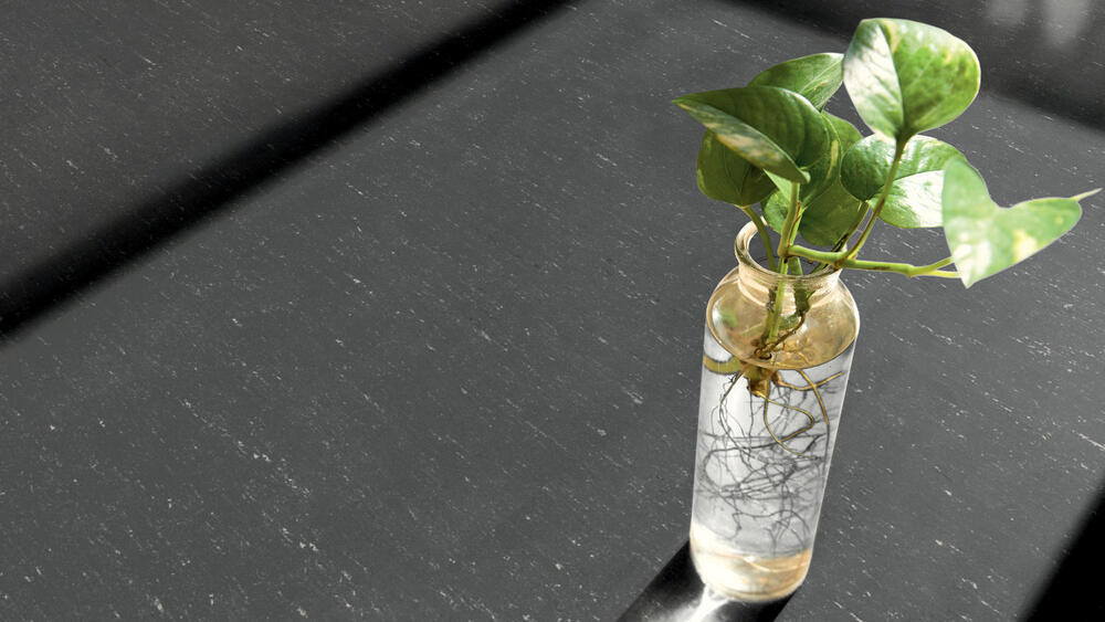 Trentino xf² - Grey Pepper