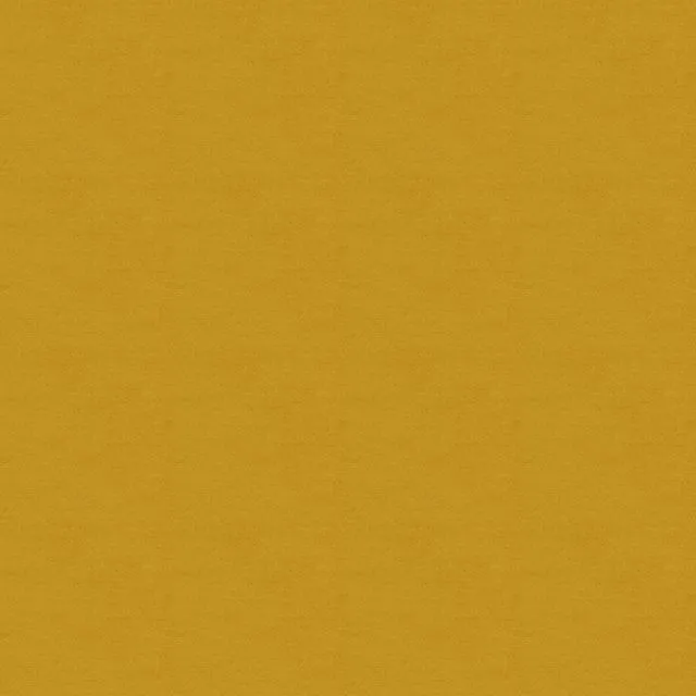 Mimosa