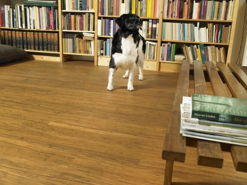 Moso Bamboo Supreme - High Density Caramel, grundoljad