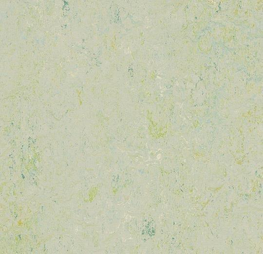 Marmoleum Splash - Salsa Verde
