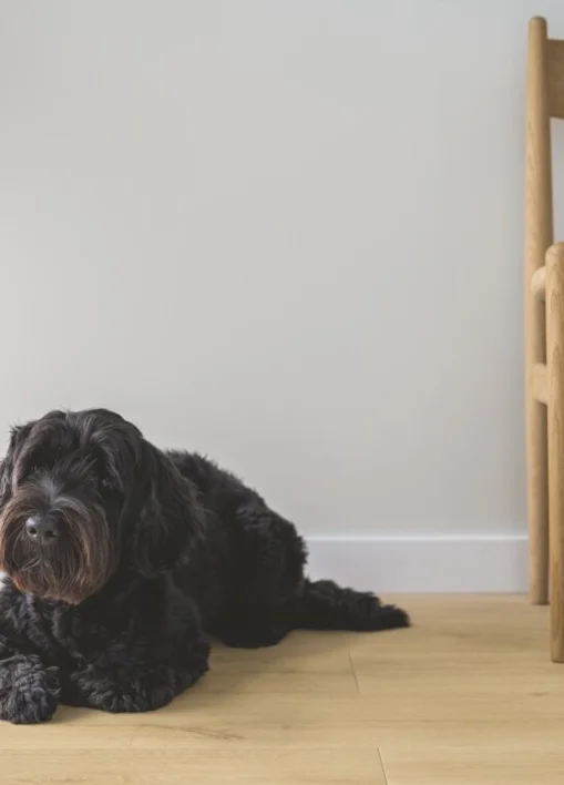 Pergo Lillehammer Sensation - Pure Oak - KAMPANJ