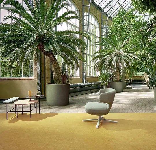 Marmoleum Fresco - Mustard