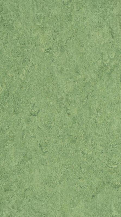 DLW Marmorette linoleum, Frog Green