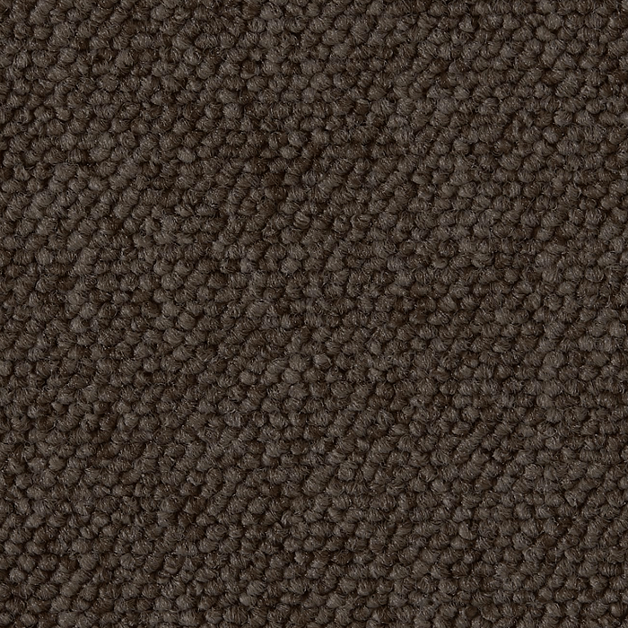 Ege Epoca Family, Ljus brun