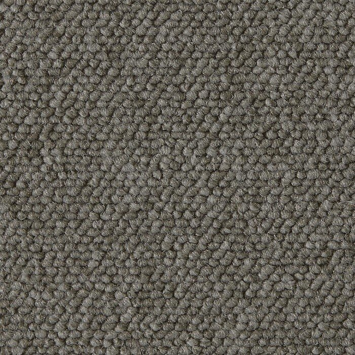 Ege Epoca Family, Grå