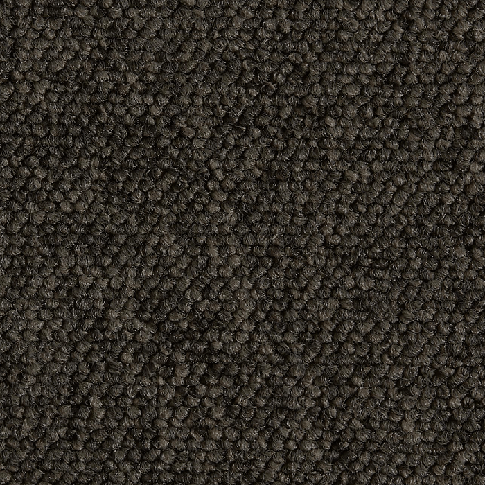 Ege Epoca Family, Gråaktig