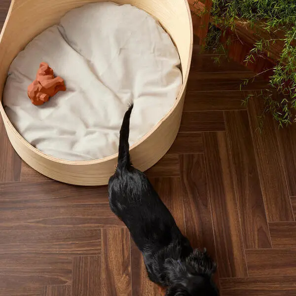 BerryAlloc Chateau+ sillben, Valnötbrun