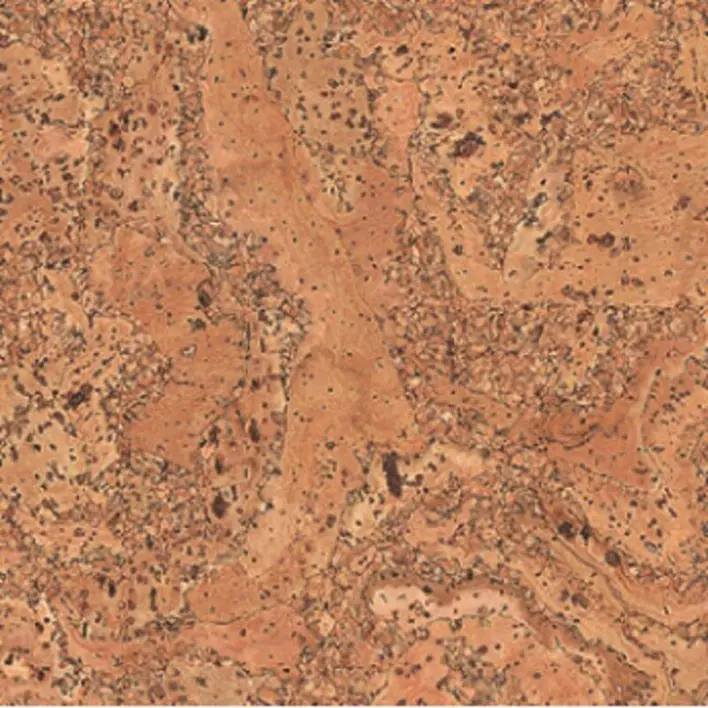 Ziro KorkLife 10 Korkgolv - Como natur obehandlad