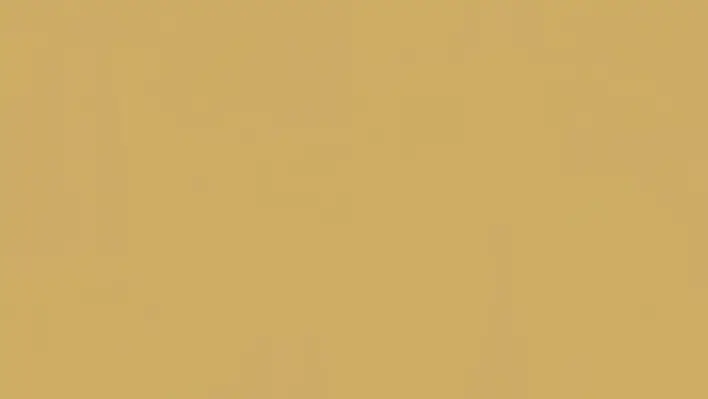 Tarkett Etrusco Honey