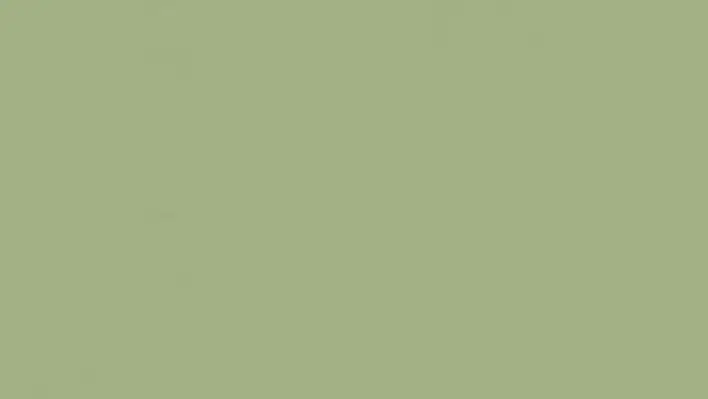 Tarkett Etrusco Olive